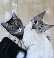 Les chats de Claire